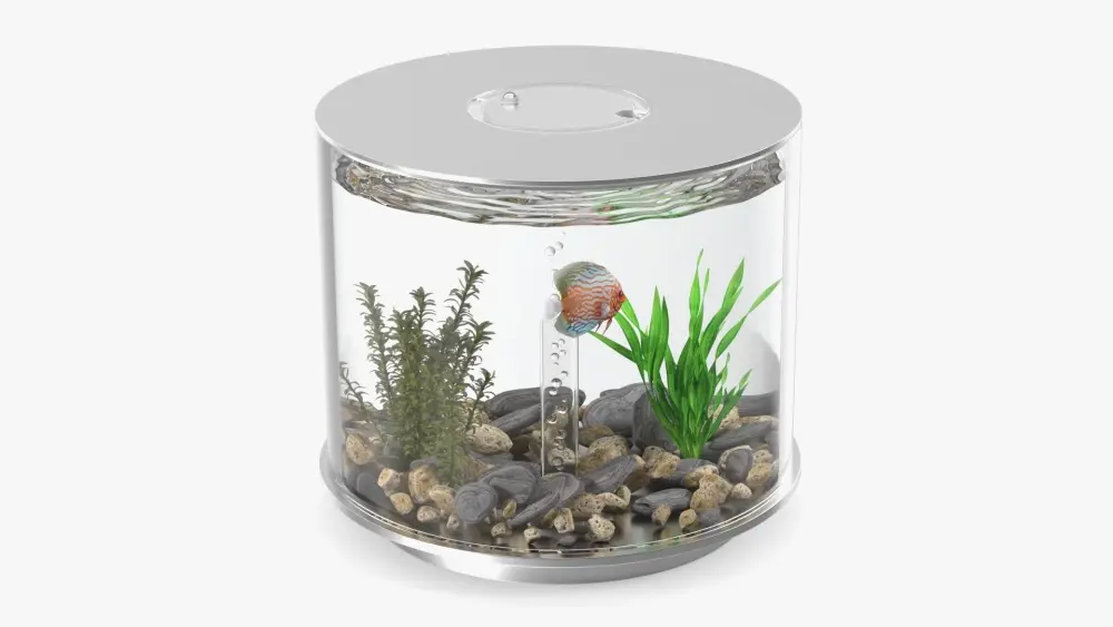 15+ mẫu bể cá hình trụ tuyệt đẹp cho không gian hiện đại