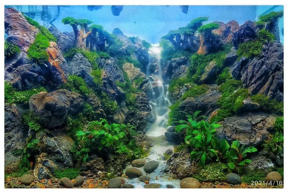 Bộ sưu tập bể thủy sinh thác nước hùng vĩ như thiên nhiên