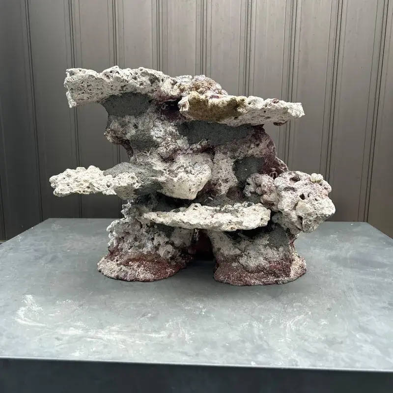 Trọn bộ ảnh đá sống giúp bể cá biển thêm sinh động