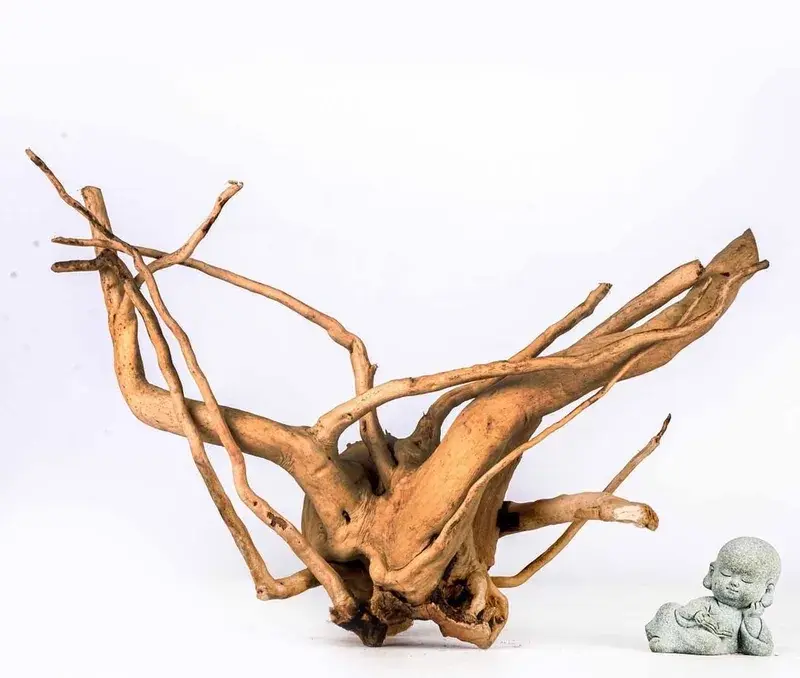 Lũa đỗ quyên và nghệ thuật tạo hình xương cành cho hồ cá