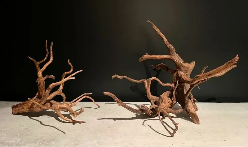 Lũa Hải Sơn Tùng - Nghệ thuật kiến tạo gốc cổ thụ trong hồ