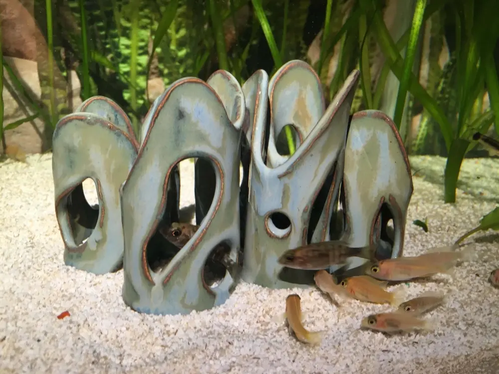 Mẫu nhà gốm cho cá đẹp giúp nâng tầm bể thủy sinh