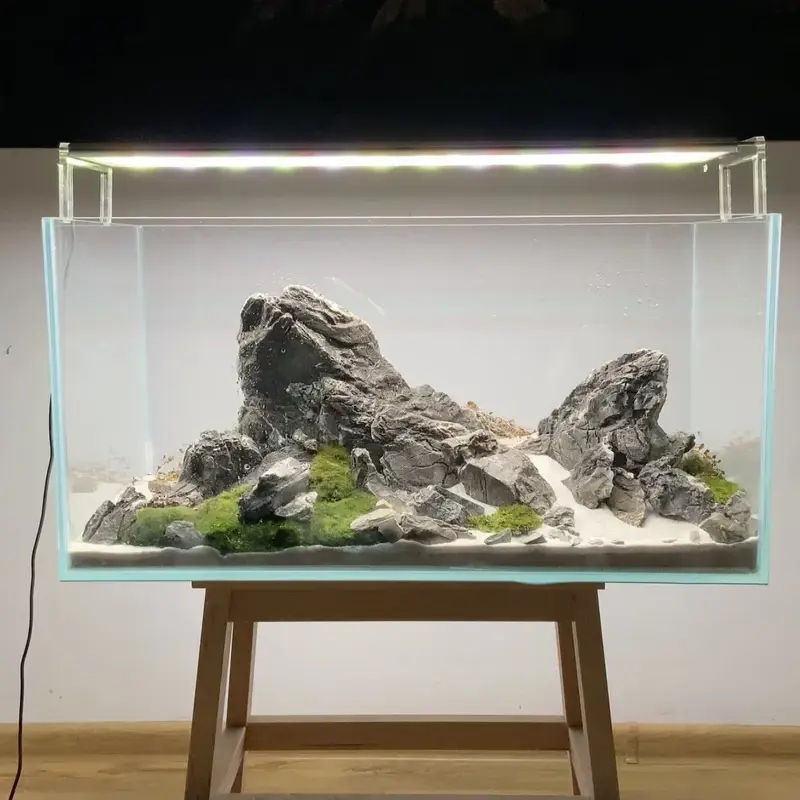 Phong cách Iwagumi và nghệ thuật đặt đá đỉnh cao Nhật Bản