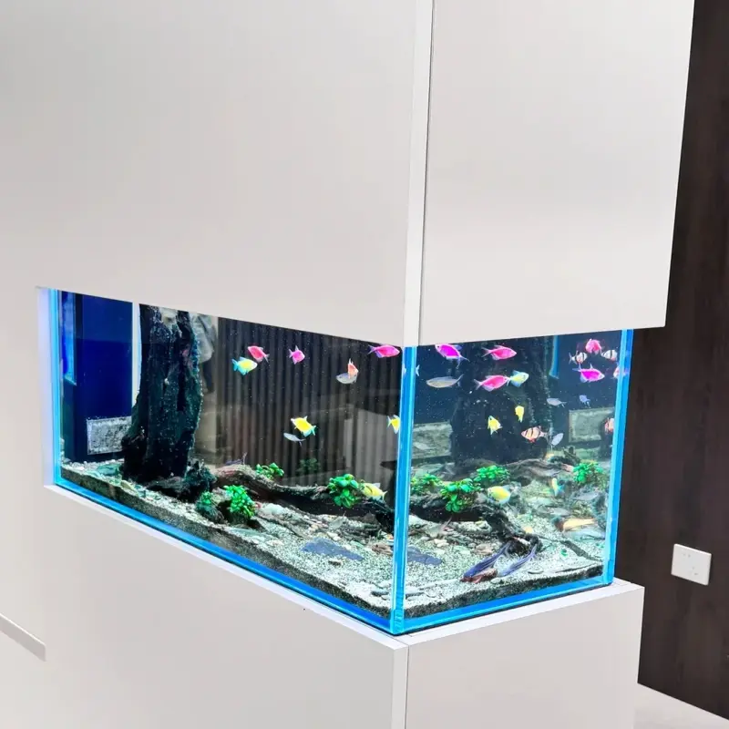 60+ ảnh bể cá âm tường đẹp sang cho không gian sống