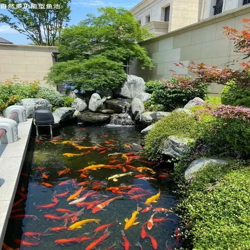 70+ Tiểu cảnh hồ cá phong cách hiện đại cực kỳ đẹp