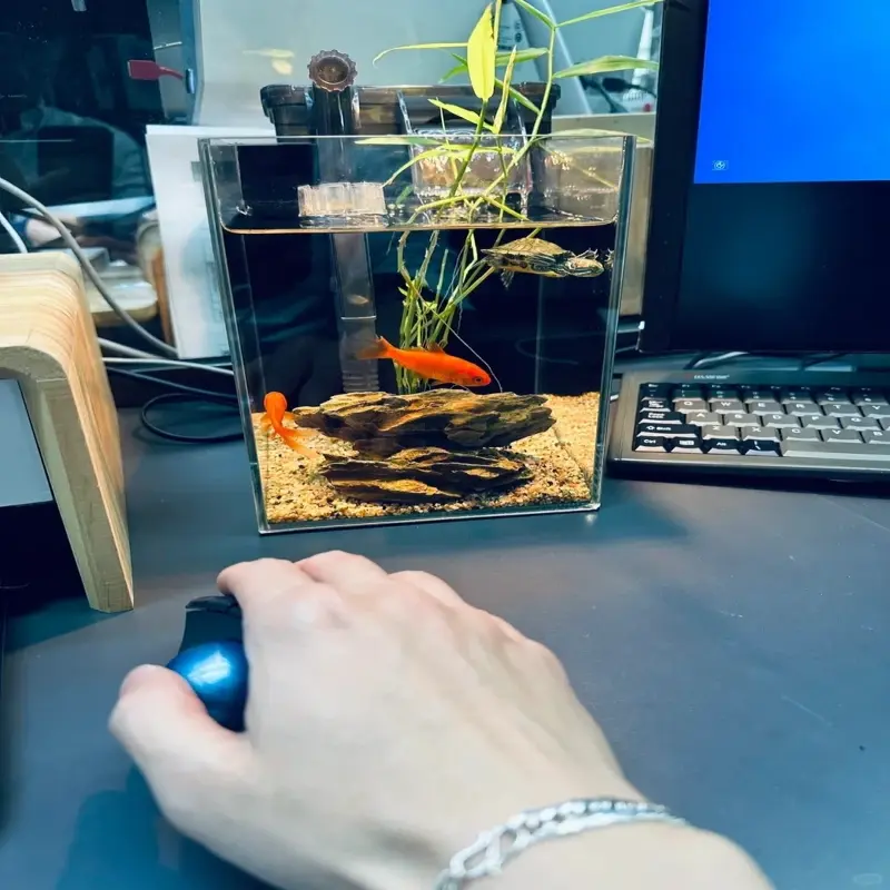 Mẫu hồ thủy sinh văn phòng đẹp decor nơi làm việc