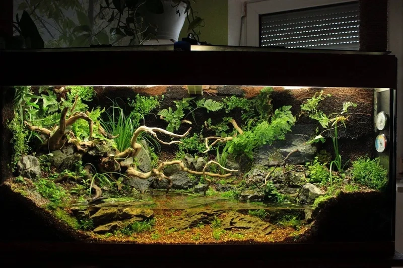 Quy trình setup bể bán cạn