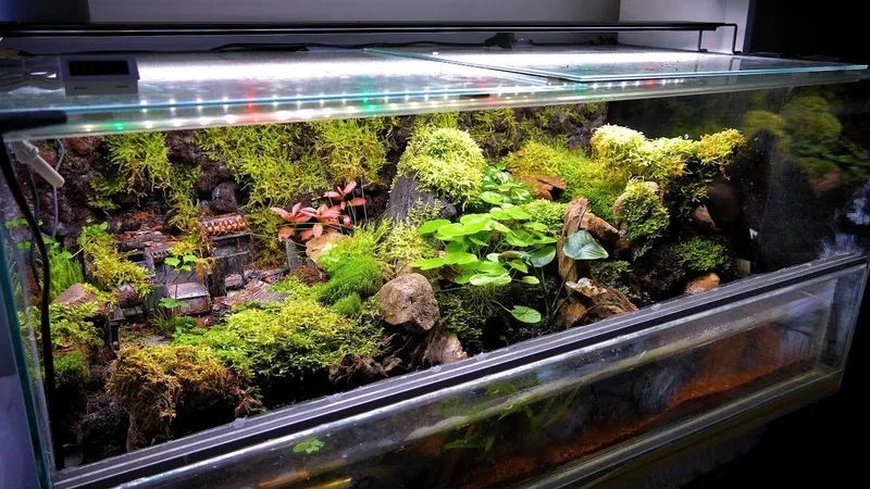 Quy trình thi công bể bán cạn