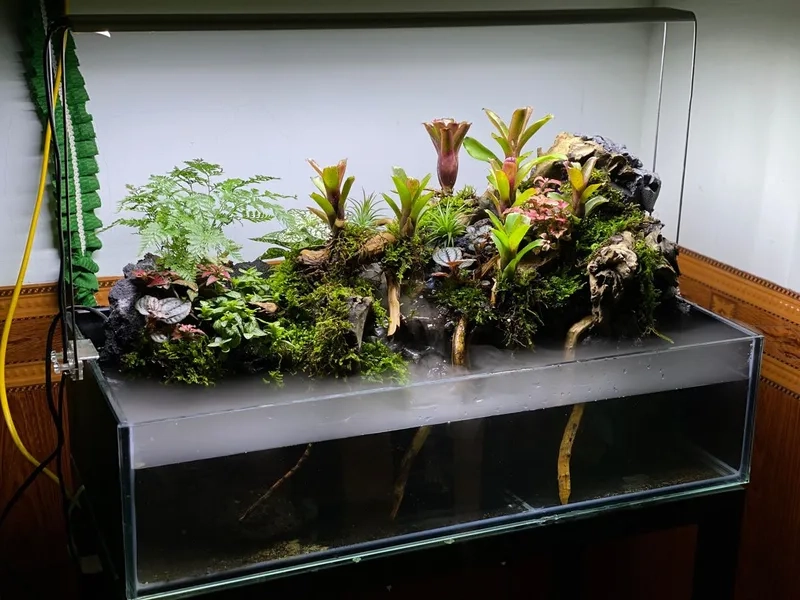 Thiết kế bể bán cạn nuôi rùa