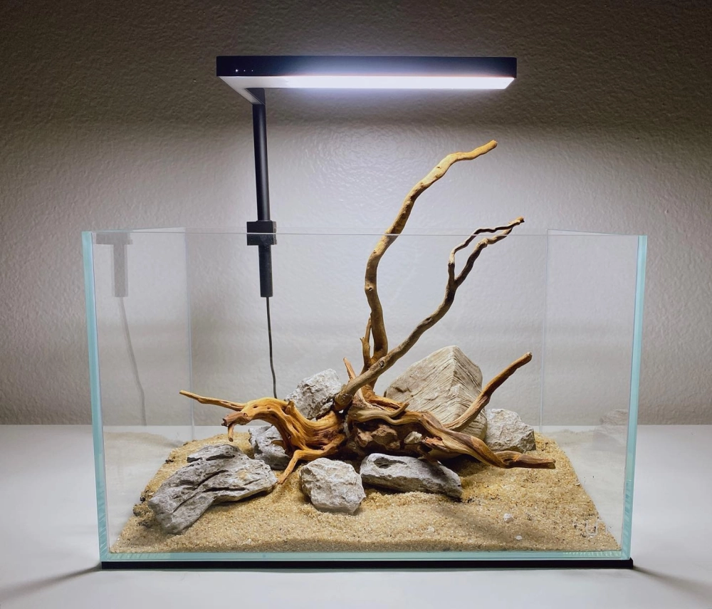 Cách phối hợp đèn chuyên dụng cho cây trong bể cá đúc