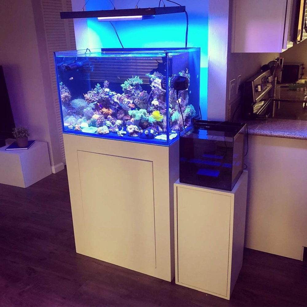 Mẫu hồ cá nhỏ bằng kính đúc chịu lực bền bỉ