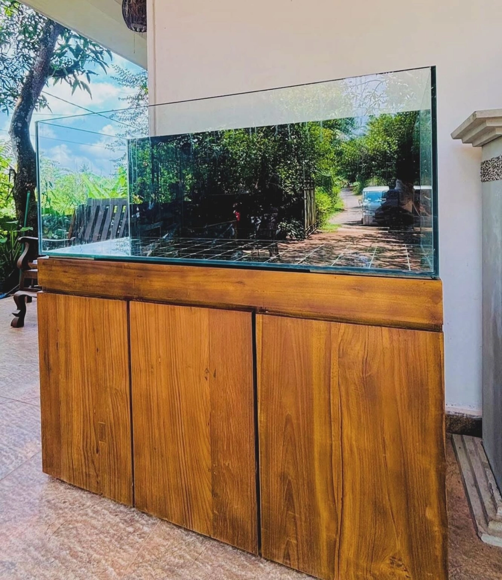 Cận cảnh đường cong nghệ thuật của dòng bể cá đúc cao cấp