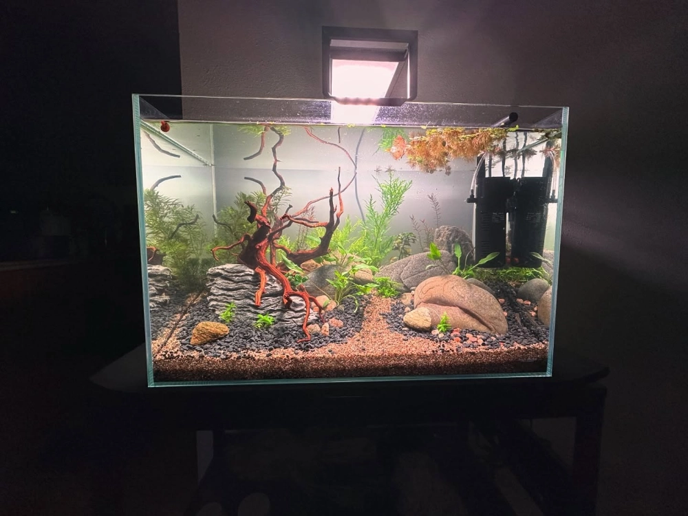 Thiết kế bể cá đúc màu trắng sang trọng cho bàn làm việc