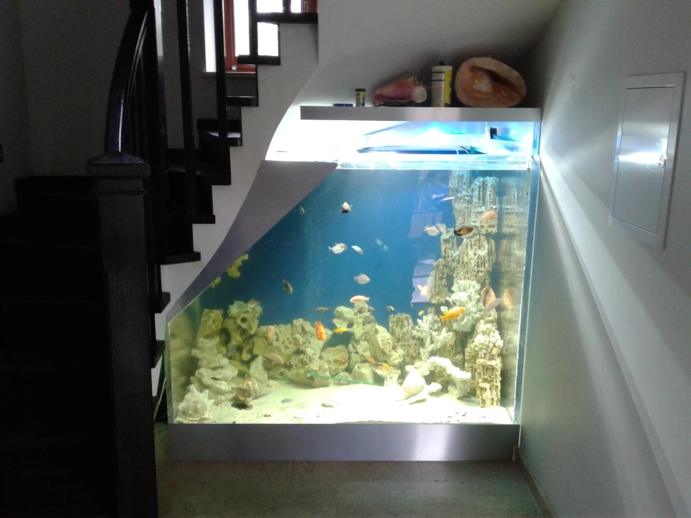 Không gian phòng khách sang trọng có bể cá dưới gầm cầu thang