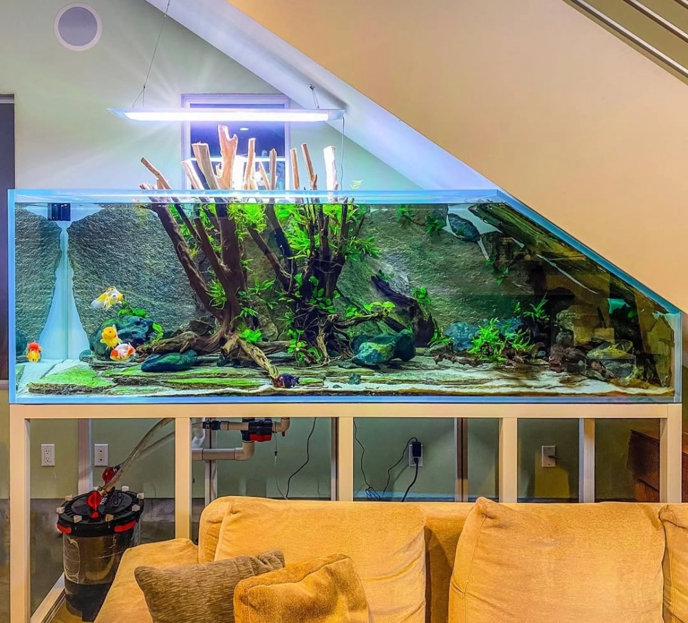 Hồ cá cảnh đẹp mắt với thác nước nhỏ chảy róc rách