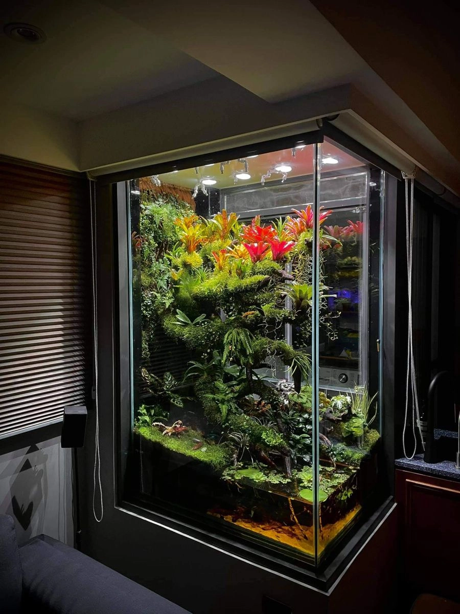 Phong cách decor bể cá tối giản cho căn hộ hiện đại