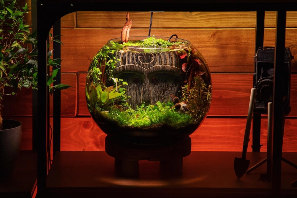 Trang trí bể cá tròn bằng đá cuội tự nhiên