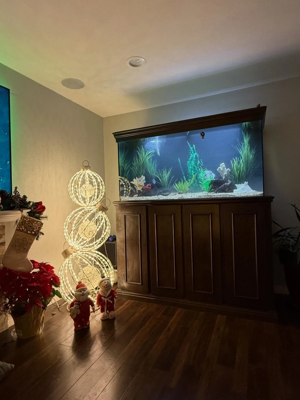 Mẫu bể cá hình chữ nhật phong cách rừng rậm tự nhiên