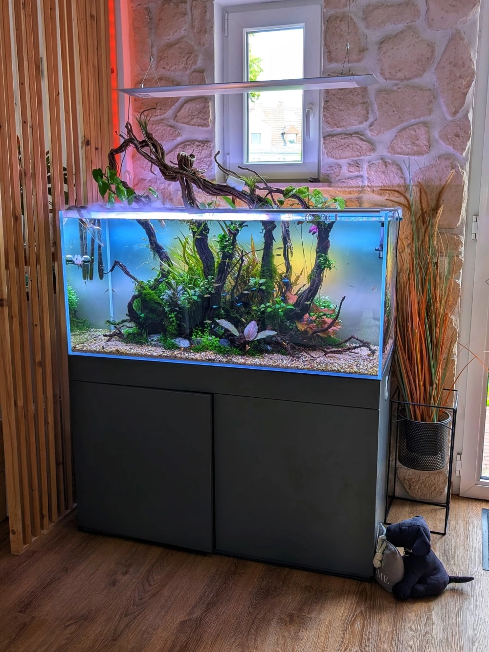 Mẫu thiết kế bể cá âm tường hình chữ nhật hiện đại