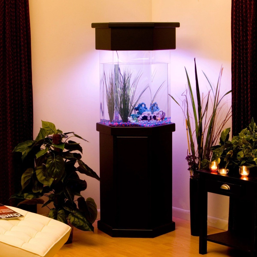 Bể cá lục giác có hệ thống đèn led đổi màu hiện đại