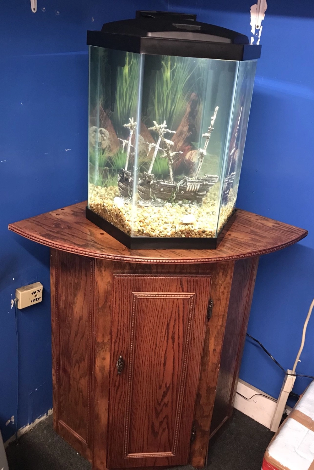 Mẫu bể cá lục giác mini phong cách tối giản cho phòng khách