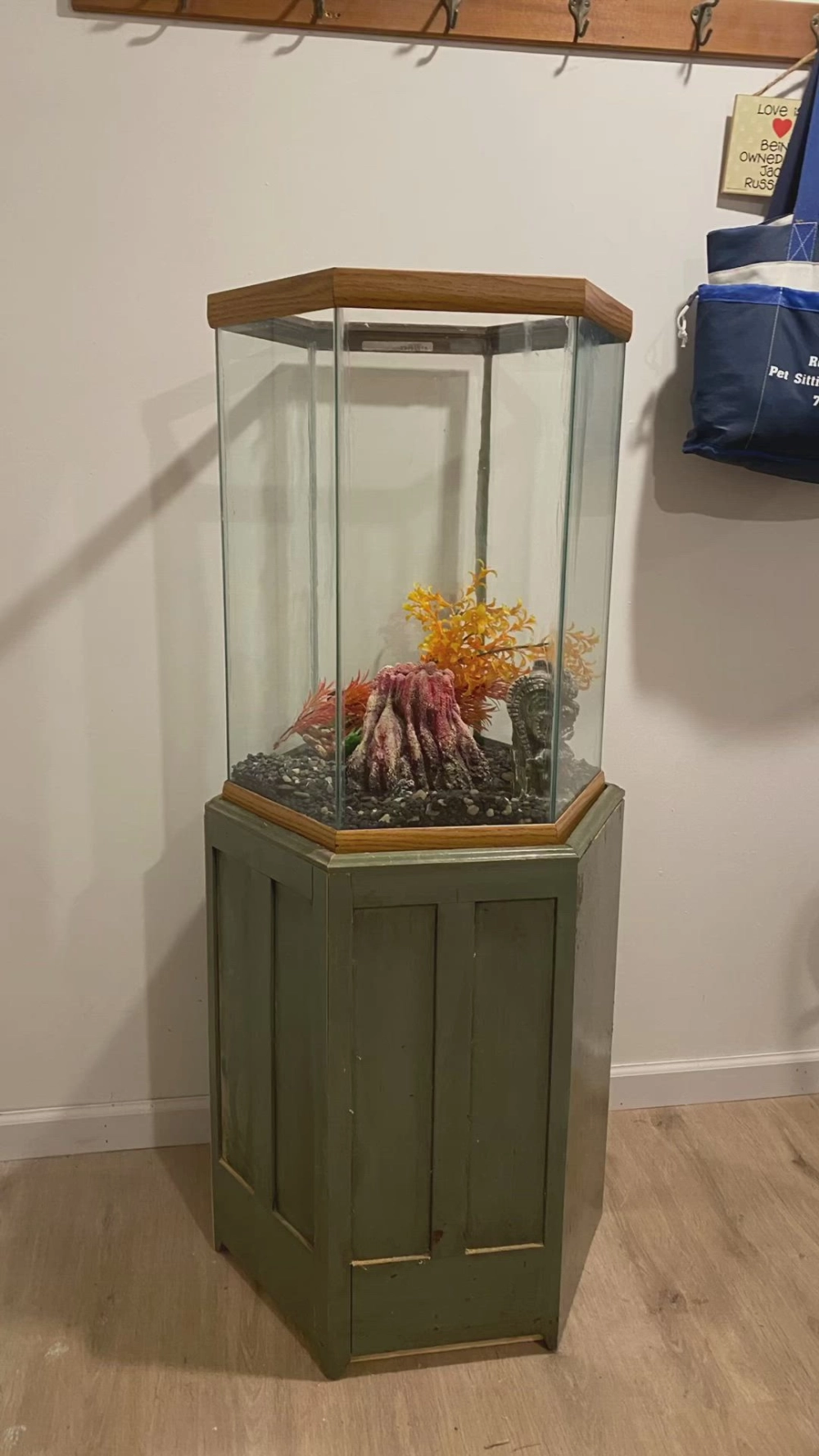 Vẻ đẹp lung linh của bể cá lục giác đặt trên bàn làm việc