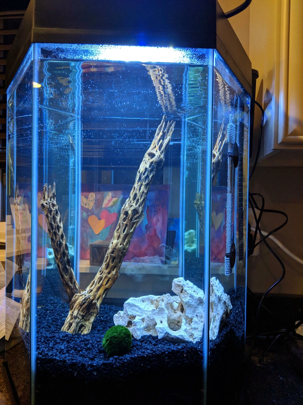 Bể cá lục giác nuôi cá vàng mang lại phong thủy tốt