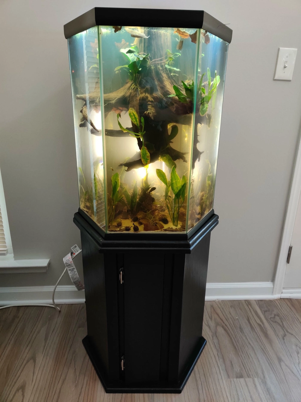 Cách lắp đặt lọc tràn cho bể cá hình lục giác thẩm mỹ