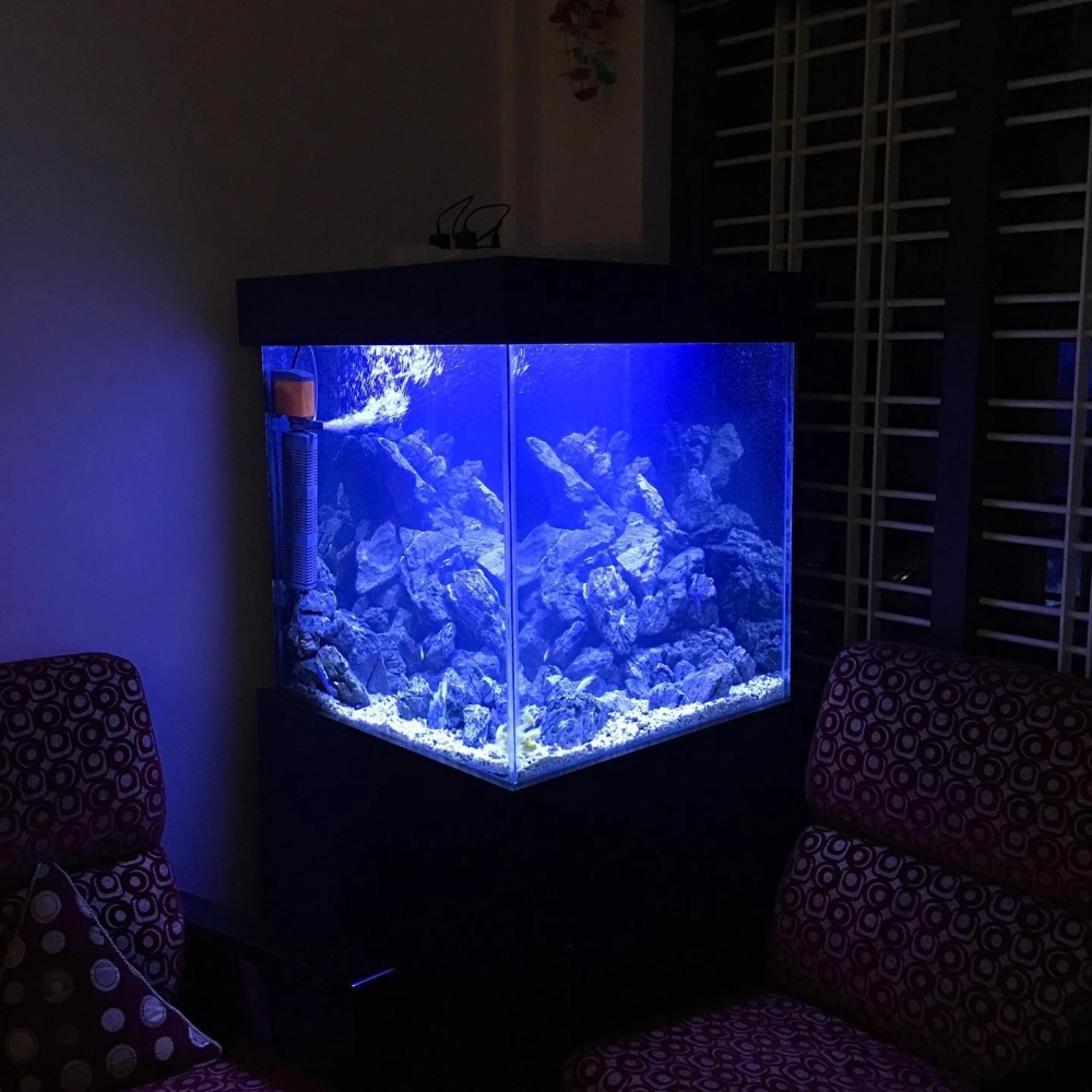 Bể cá hình tam giác có hệ thống đèn led đổi màu lung linh