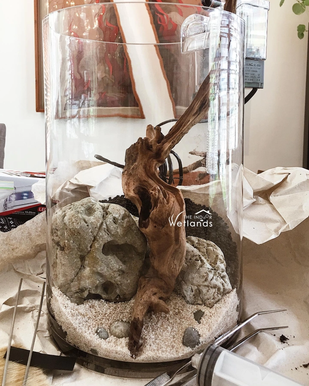 Bố cục thủy sinh lũa mọc cao trong bể trụ thủy tinh