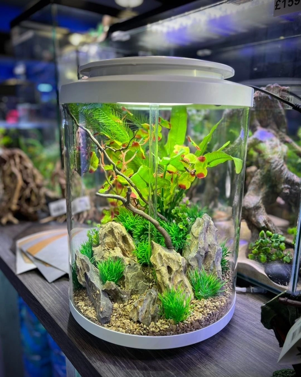 Bể cá hình trụ đúc nguyên khối có chân đế gỗ cao cấp