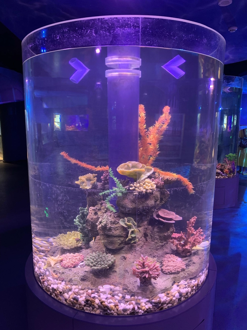 Bể cá hình trụ tích hợp tủ đồ phía dưới tiện lợi