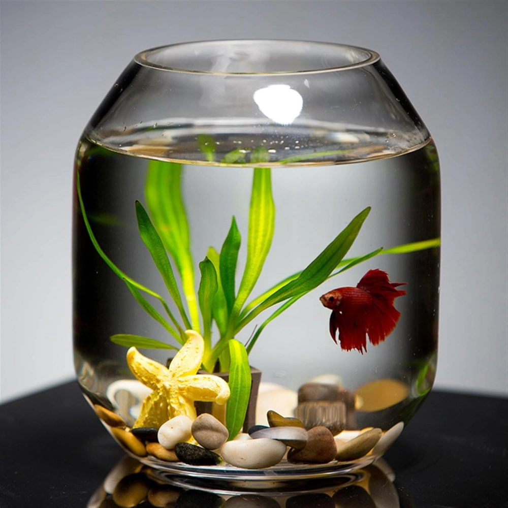 Nghệ thuật sắp đặt đá cảnh tạo hang hốc trong bể trụ