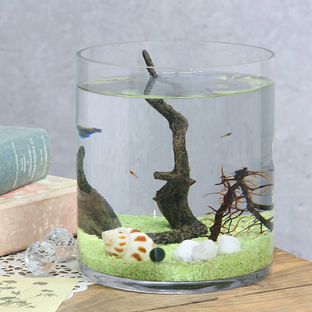 Cách đặt máy sủi oxy thẩm mỹ cho bể tròn đứng