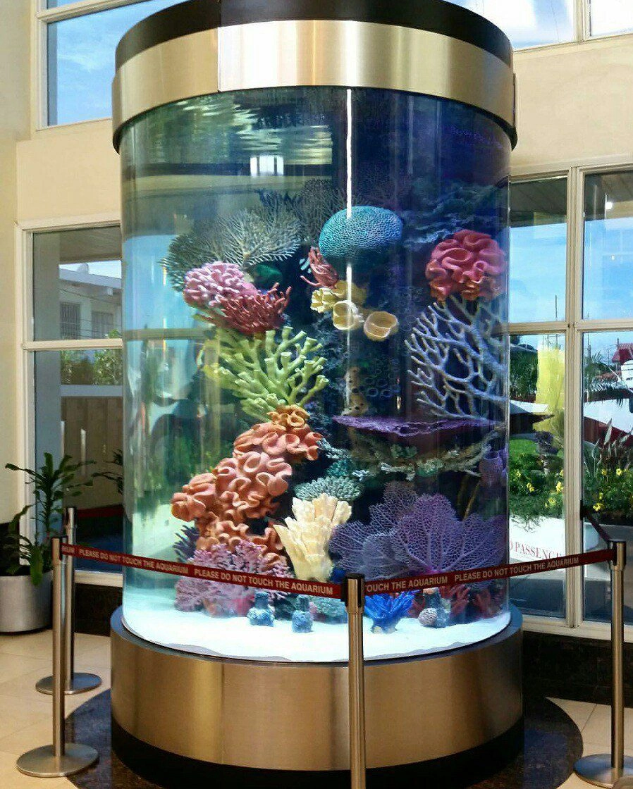 Ánh sáng xanh huyền ảo trong bể cá hình trụ về đêm