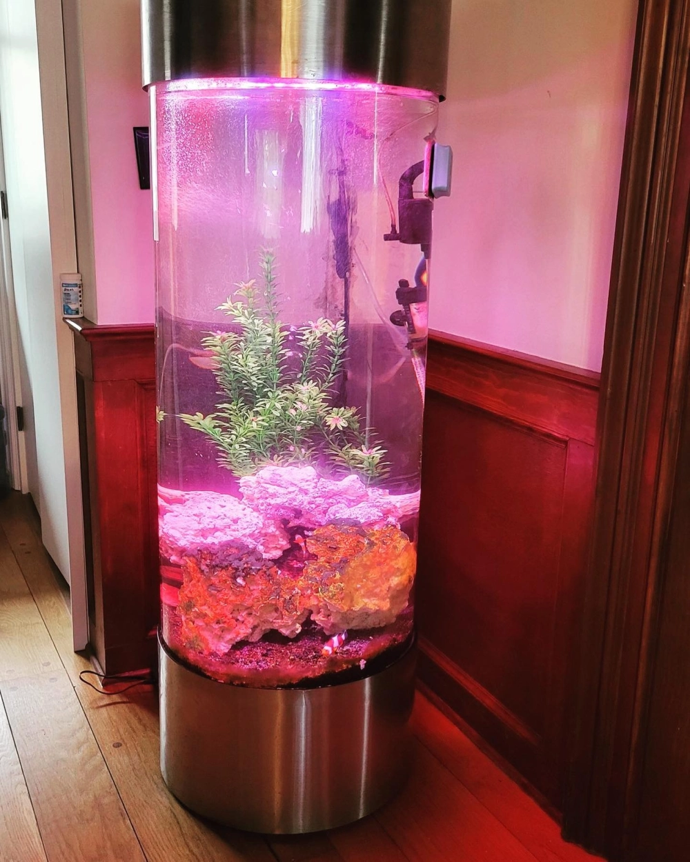 Mẫu bể cá trụ mini trang trí kệ sách tinh tế