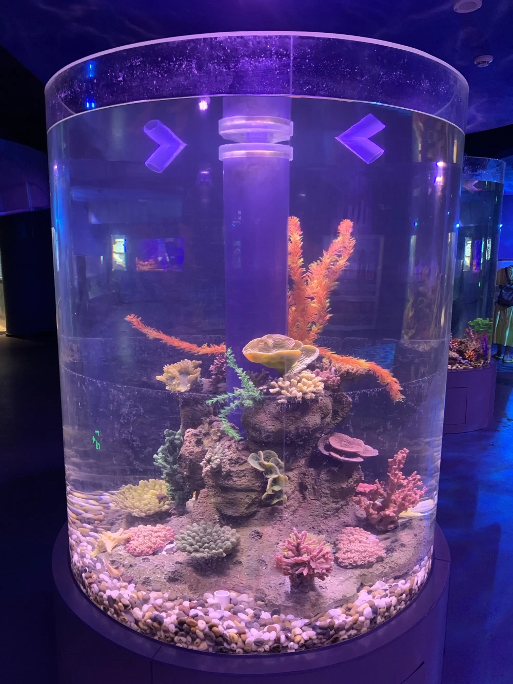 Bể cá hình trụ đặt tại góc phòng khách sang trọng