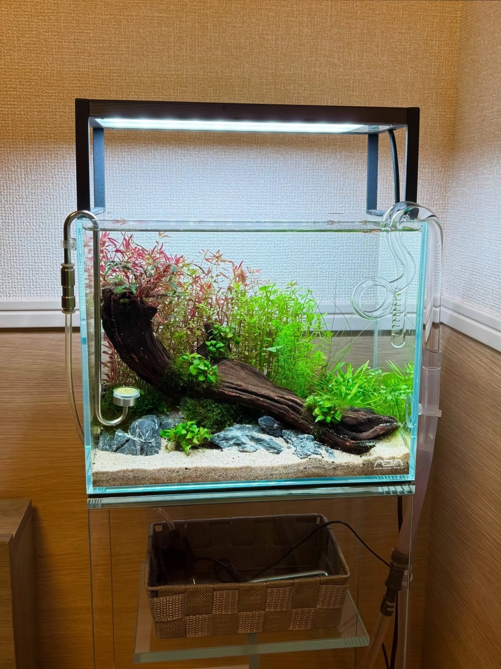 Mẫu bể cá mini tích hợp thác nước chảy róc rách