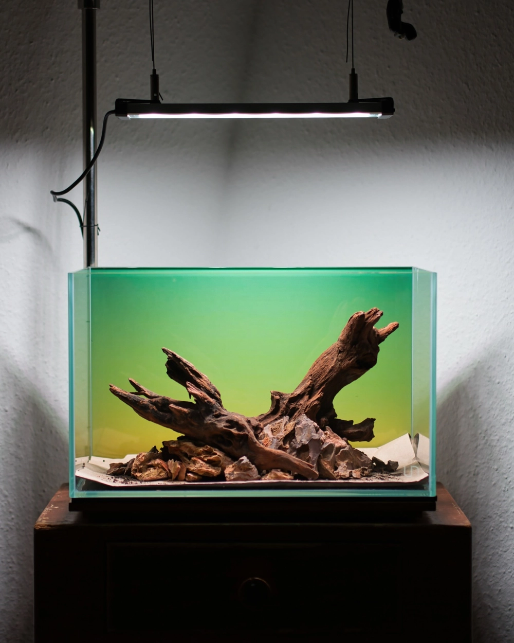 Mẫu hồ cá nhỏ phong cách Iwagumi với đá xanh và thảm cỏ rêu