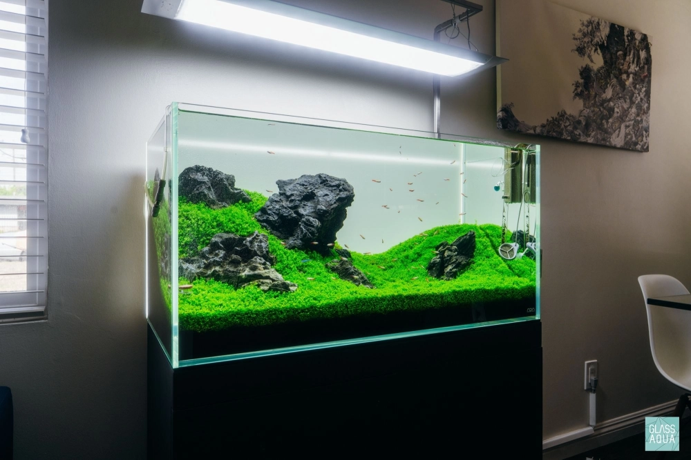 Bố cục đá ba viên đơn giản nhưng tinh tế cho người mới chơi