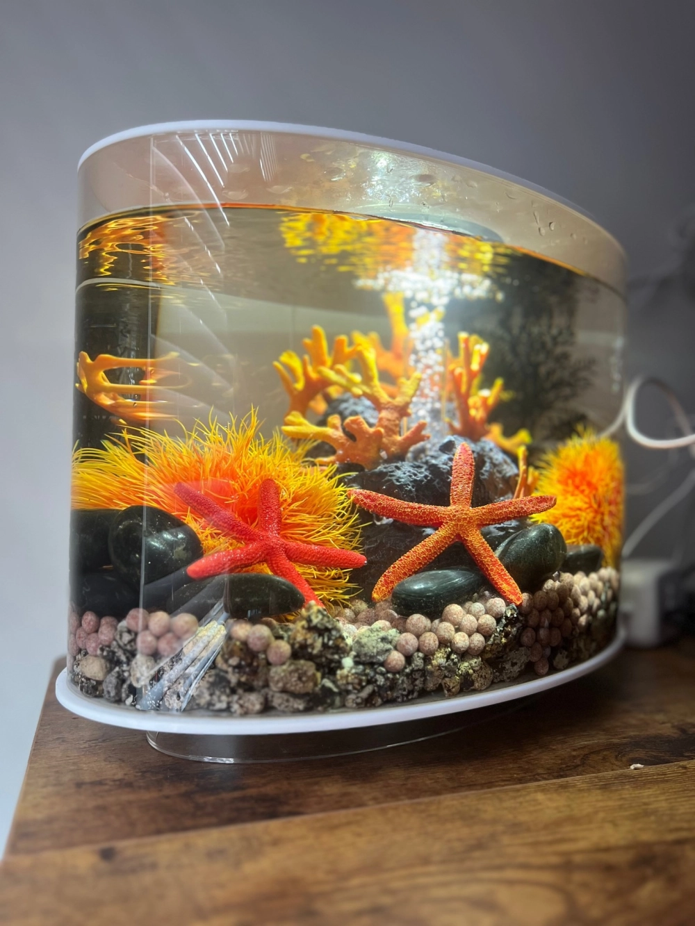 Cách chọn phân nền và sỏi cho bể cá cảnh dáng tròn