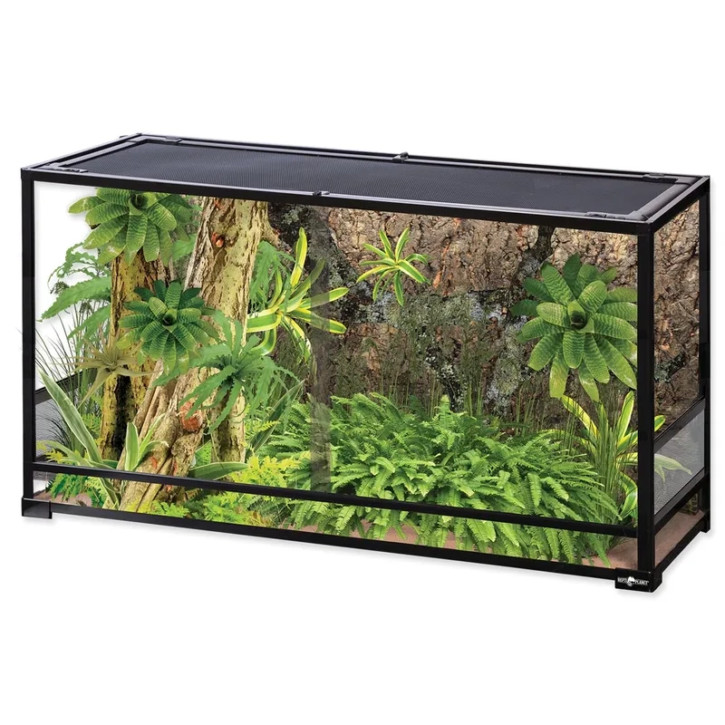 Hệ sinh thái Terrarium kín độc đáo