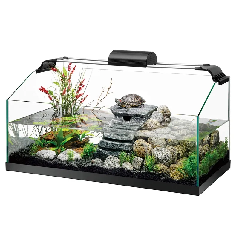 Lựa chọn đất làm Terrarium chuẩn