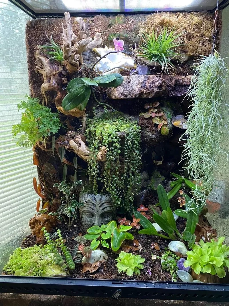 Trang trí Terrarium để bàn xinh