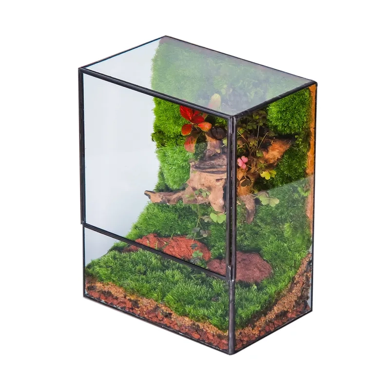 Cách tự chăm sóc Terrarium tại nhà