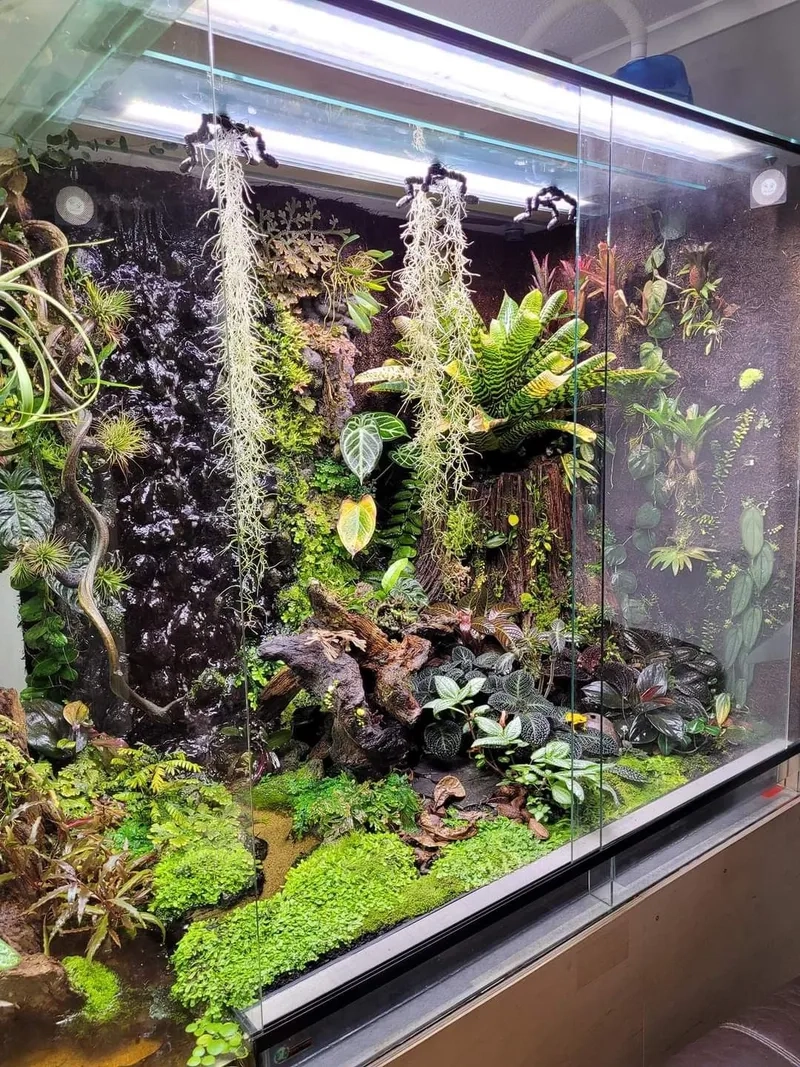 Mua sắm mẫu Terrarium giá rẻ