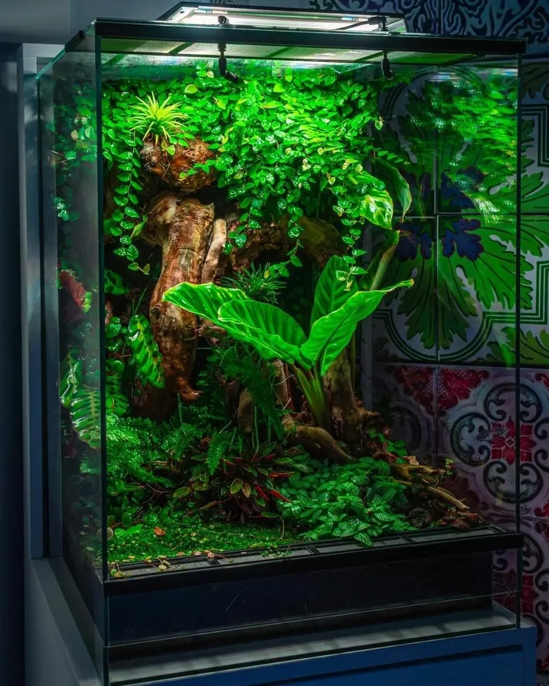 Thiết kế mẫu tiểu cảnh Terrarium