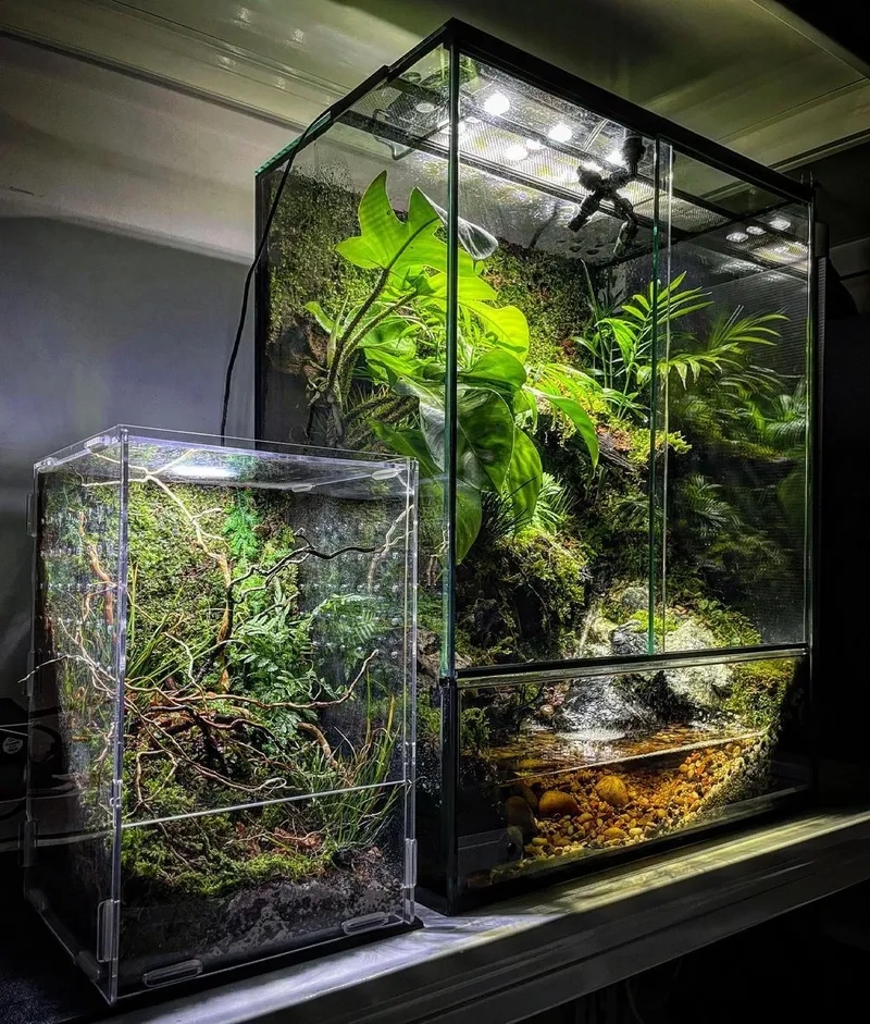 Chiêm ngưỡng các mẫu Terrarium đẹp