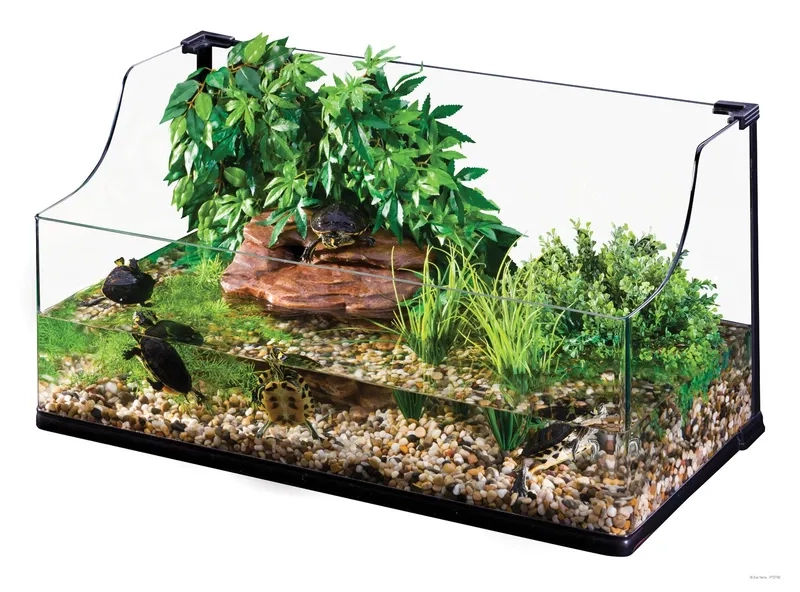 Trang trí mẫu Terrarium mở thoáng