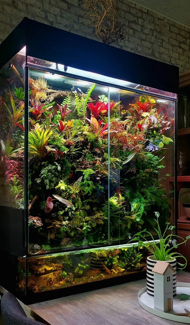 Các món phụ kiện Terrarium xinh